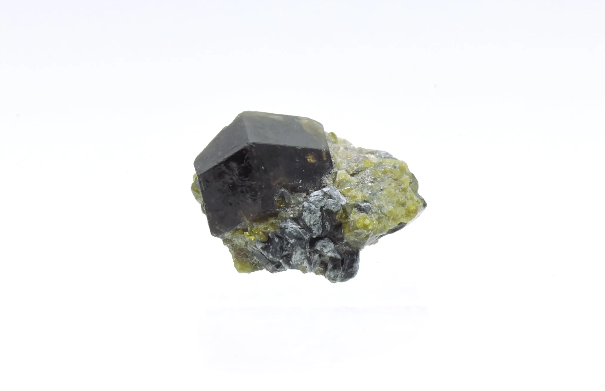 Andradite Garnet on Epidote Crystals Mineral Specimen - Afghanistan