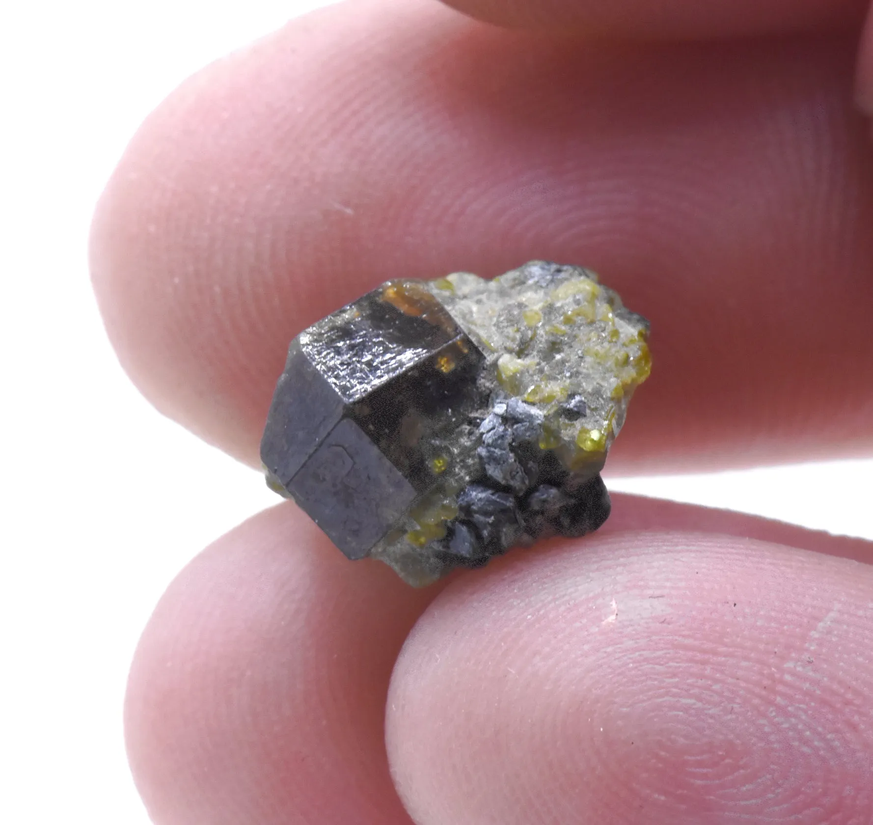 Andradite Garnet on Epidote Crystals Mineral Specimen - Afghanistan