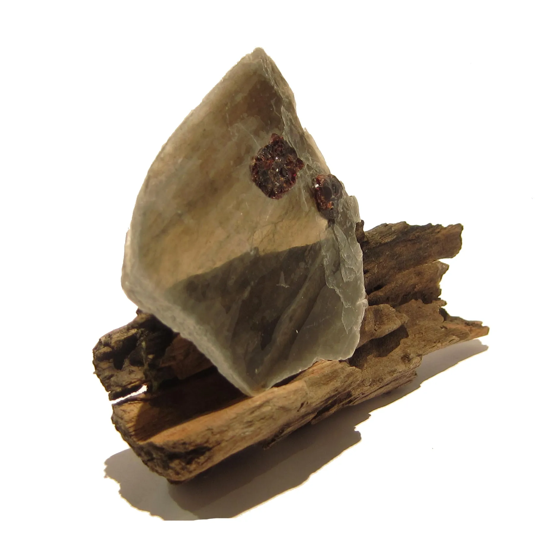 Garnet Mineral Gem Specimen in Mica Crystal on Natural Wood Stand