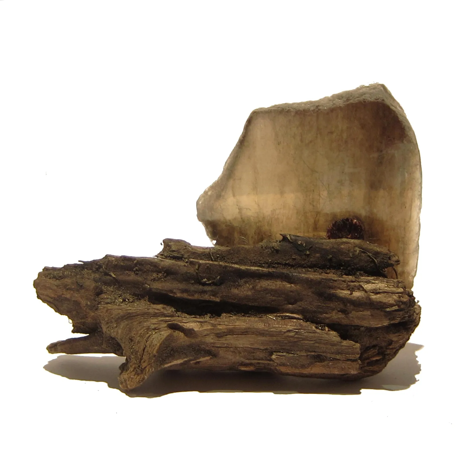 Garnet Mineral Gem Specimen in Mica Crystal on Natural Wood Stand