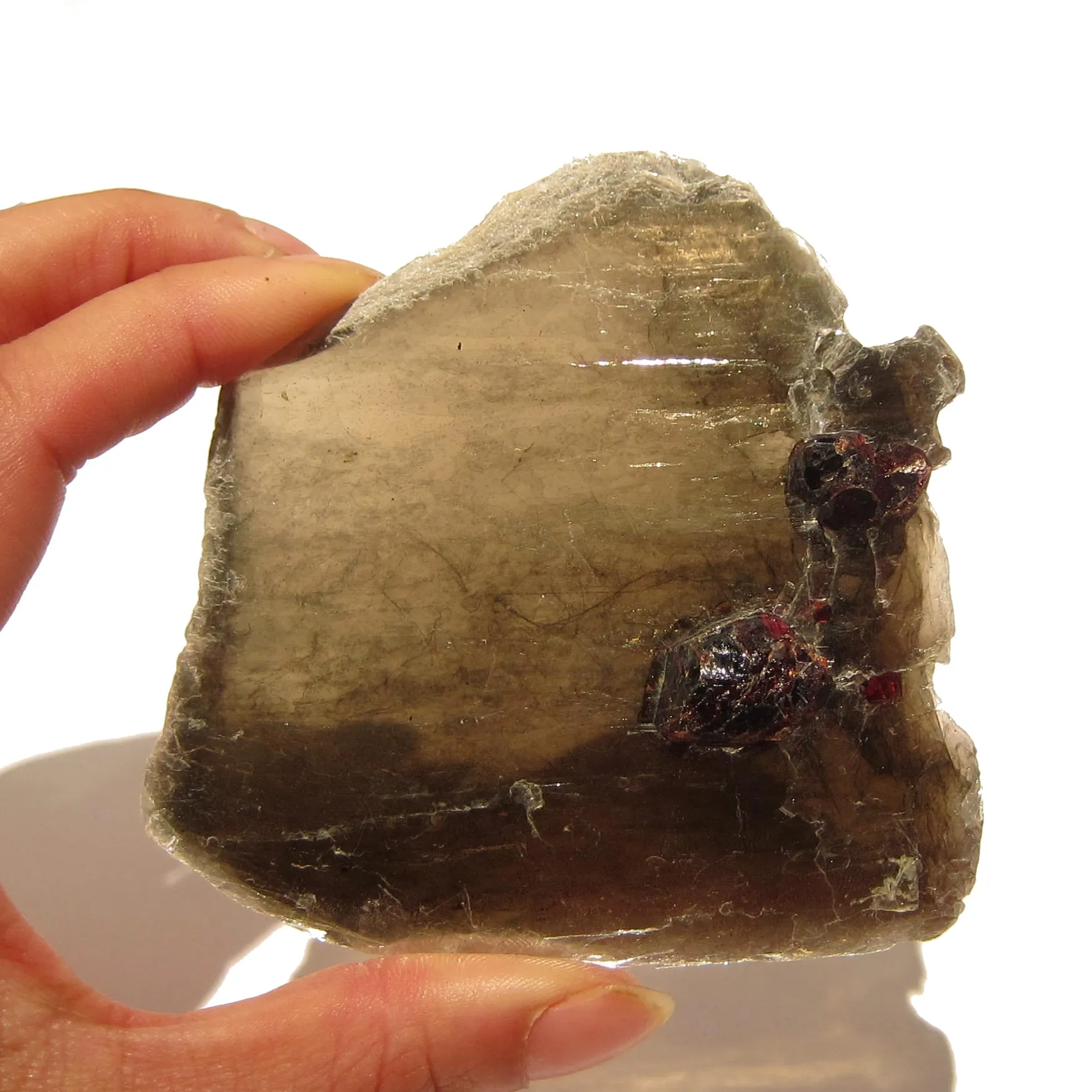 Garnet Mineral Gem Specimen in Mica Crystal on Natural Wood Stand