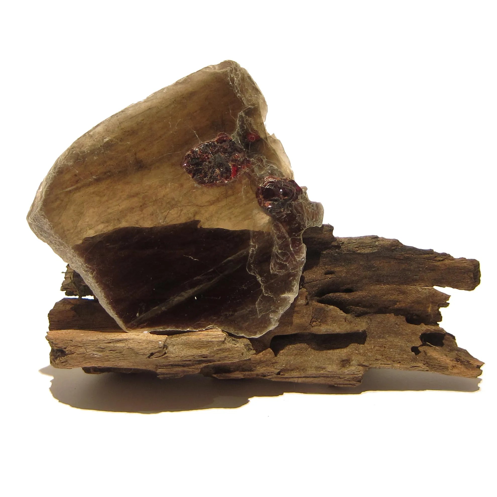 Garnet Mineral Gem Specimen in Mica Crystal on Natural Wood Stand