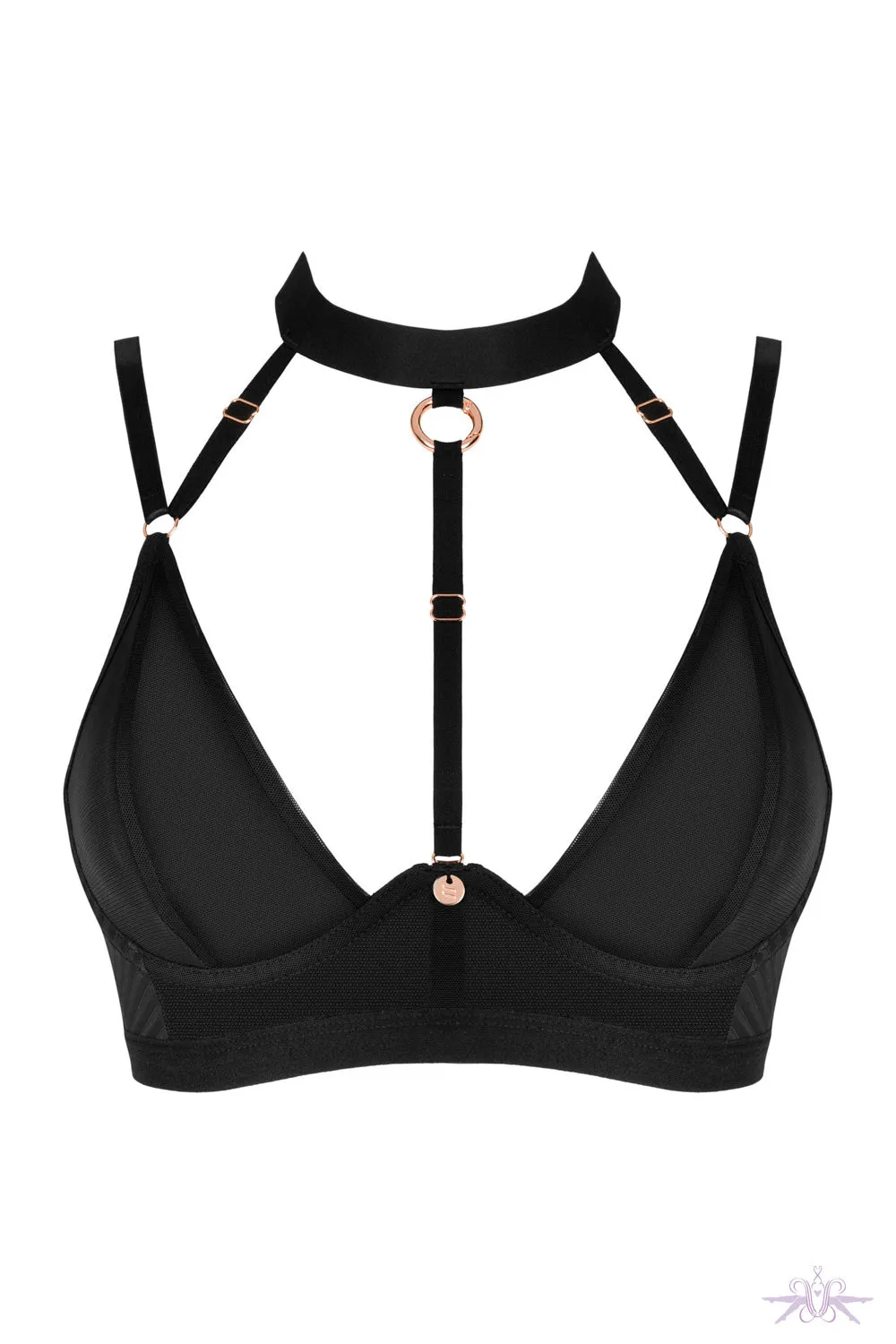 Obsessive Brasica Black Bra