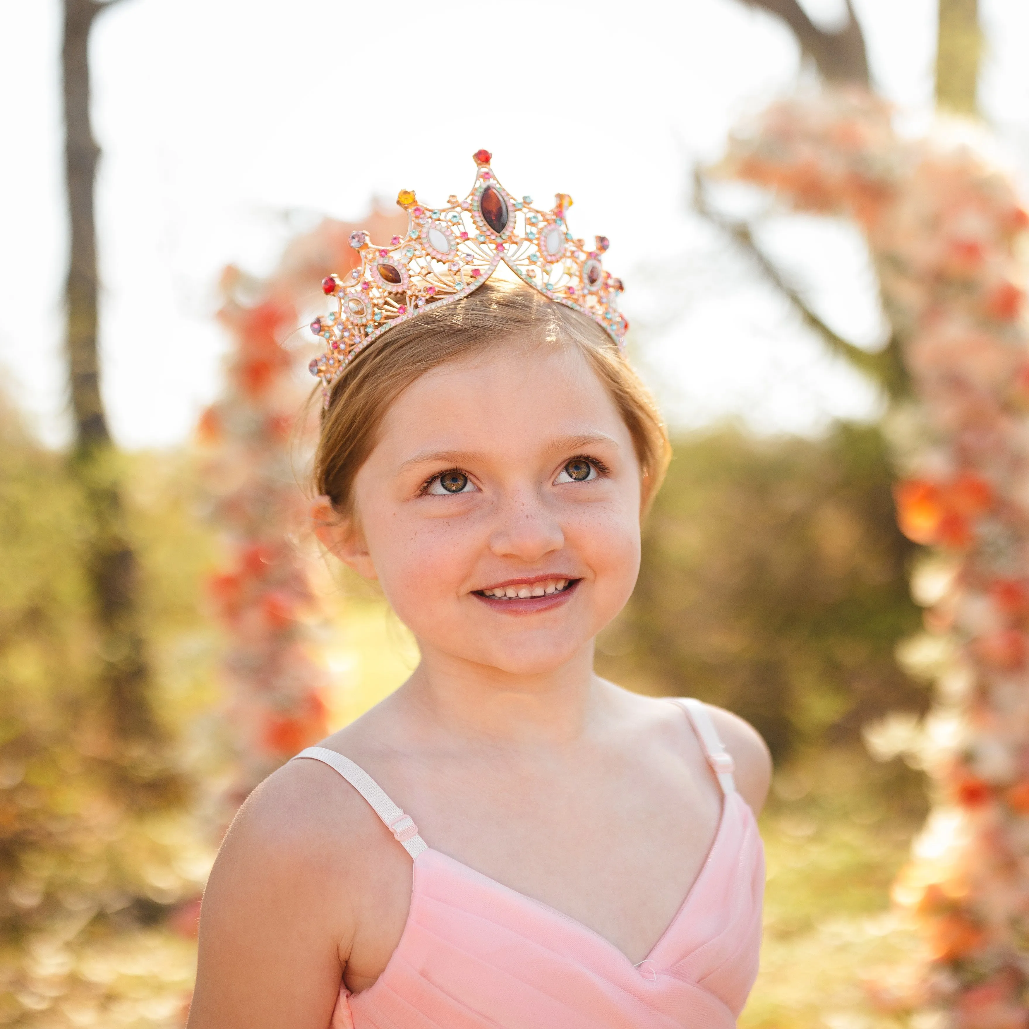 Regina’s Tiara in Multi & Gold